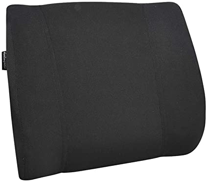 2. Amazon Basics Memory Foam Lumbar Back Support Pillow - Black, Paneled -Best Lumbar Pillows.