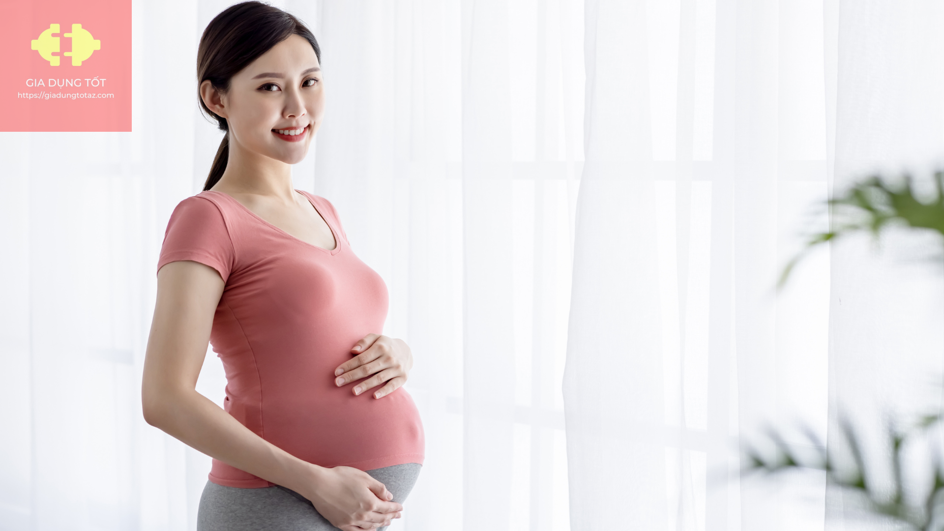 Chế Độ Dinh Dưỡng Cho Bà Bầu: Những Thực Phẩm Cần Bổ Sung Trong Suốt Thai Kỳ